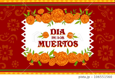 Dia de los Muertos mexican holiday banner with marigold flowers. Mexican culture celebration poster, Dia de Los Muertos holiday or Day of the Dead festival vector background with marigold flower frame 106551560