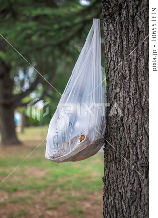Garbage bag hung on tree in nature showing human polluting impact in green areas Garbage bag hung on tree in nature showing human polluting impact in green areas 106551819