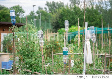 Plastic bottles as ideas for recycling and ecological education in domestic life 106551928