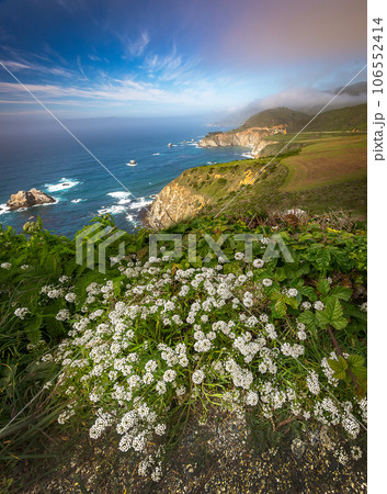 Beautiful west coast beside highway 106552414