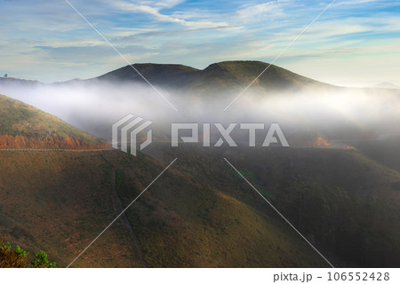 cabbage field at sunset cabbage field at sunset 106552428