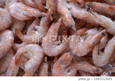 Frozen shrimps as bacground. 106552685