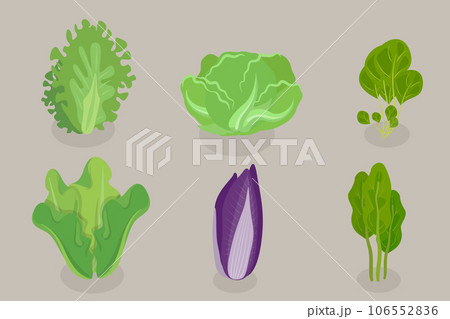 3D Isometric Flat Vector Set of Salad Greens 106552836