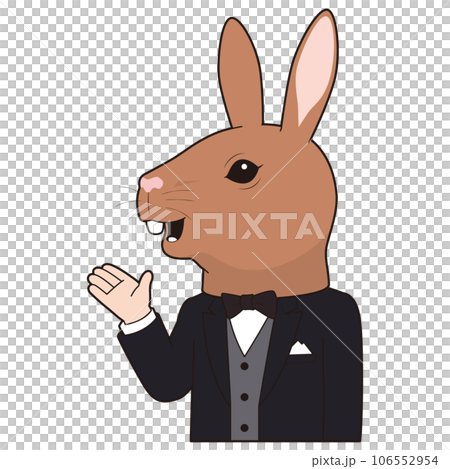 tuxedo-rabbit