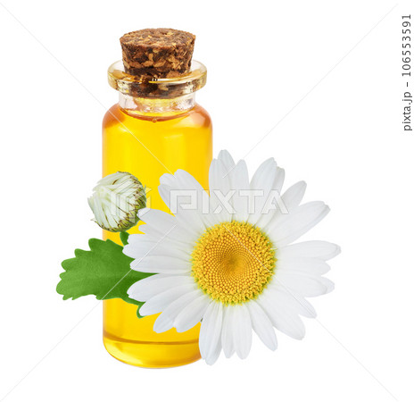 bottle with essential oil and fresh chamomile flowers isolated on white background bottle with essential oil and fresh chamomile flowers isolated on white background 106553591