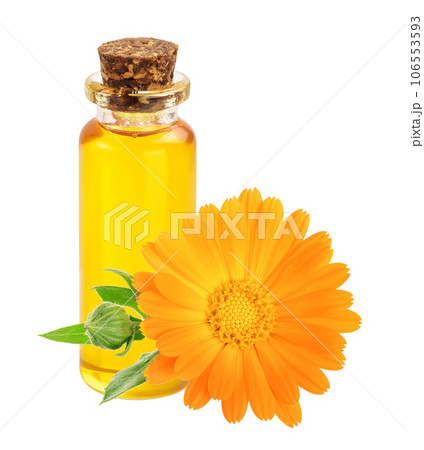aromatherapy essential oil with marigold flower isolated on white background 106553593