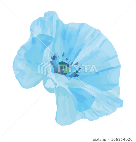 Isolated watercolor sketch of a flower Vector Isolated watercolor sketch of a flower Vector 106554026