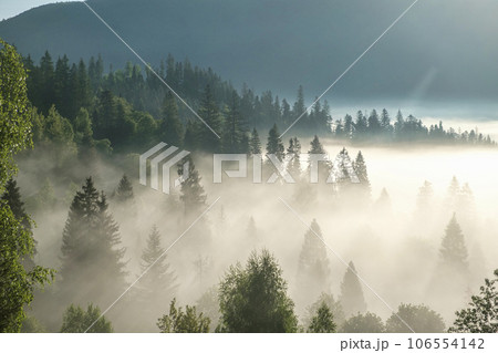 misty morning in the mountains, view from drone over the morning over the mountains hills and farmland, Ukraine. Foggy and cloud inversion over the mountains. 106554142