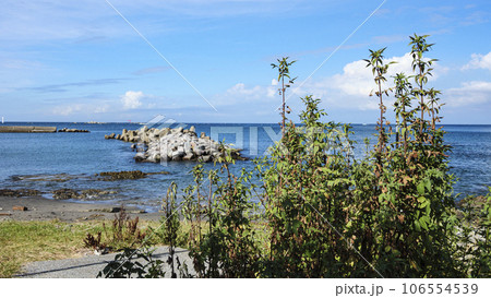 湘南葉山町神奈川県三浦郡葉山町森戸の夏休み 106554539