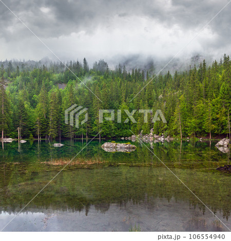 Small mountain forest lake Small mountain forest lake 106554940