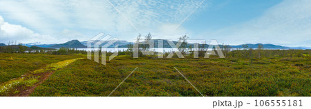 Tornetrask lake summer view ( Lapland, Sweden) 106555181