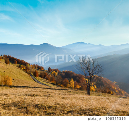 Rural road, colorful trees on autumn mountain slope and sunbeams over it (Carpathian, Ukraine). 106555316