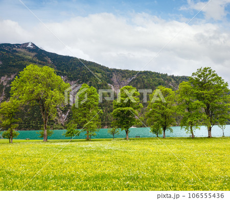 Achensee summer landscape (Austria). Achensee summer landscape (Austria). 106555436