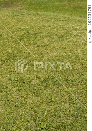 芝生　グラフィック素材　芝生広場 106555795