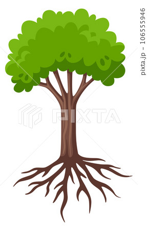 Growing tree with root system. Cartoon green plant 106555946