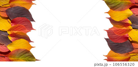 Frame with colorful fall leaves isolated on a white background. Top Frame with colorful fall leaves isolated on a white background. Top 106556320