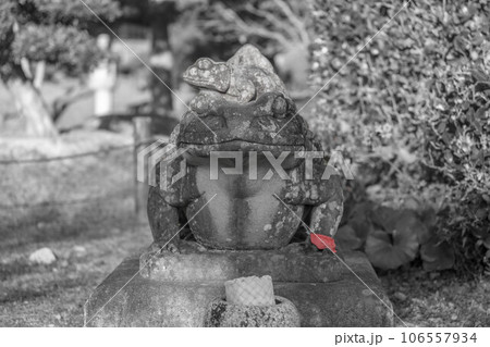 観自在寺 106557934