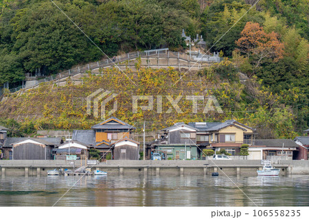 三浦半島の漁港 三浦半島の漁港 106558235