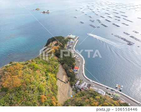 遊子水荷浦の段畑 106558446