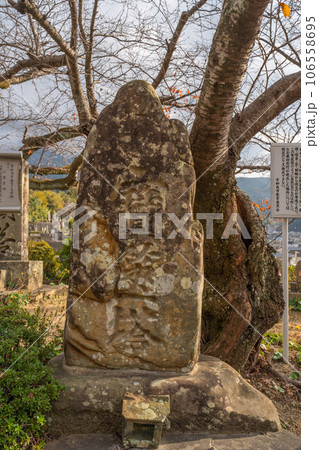 龍光院 龍光院 106558695