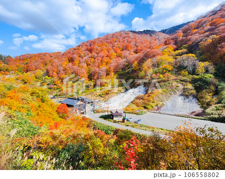 泥湯温泉(秋) 泥湯温泉(秋) 106558802