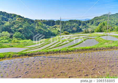 【室谷の棚田】 島根県浜田市三隅町室谷 【室谷の棚田】 島根県浜田市三隅町室谷 106558805