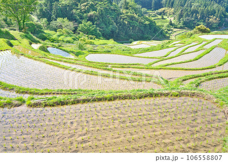 【室谷の棚田】 島根県浜田市三隅町室谷 【室谷の棚田】 島根県浜田市三隅町室谷 106558807
