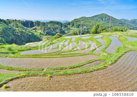 【室谷の棚田】 島根県浜田市三隅町室谷 106558810