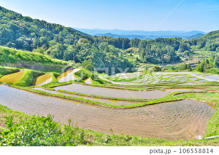 【室谷の棚田】 島根県浜田市三隅町室谷 106558814