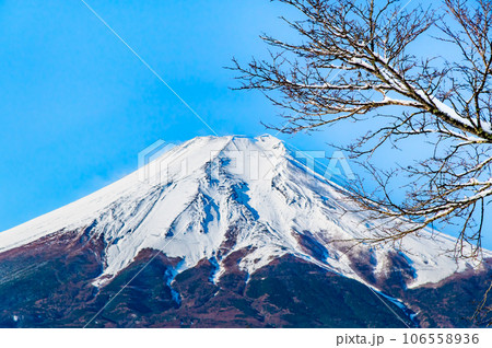 山梨 忍野村の雪景色 山梨 忍野村の雪景色 106558936