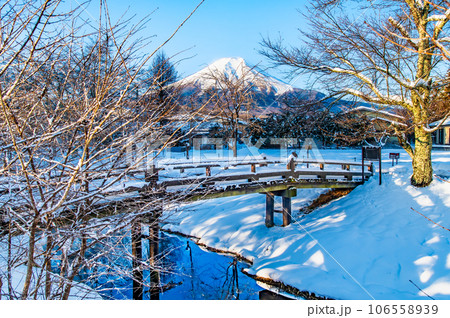 山梨 忍野村の雪景色　～新名庄川から富士山を望む～ 106558939