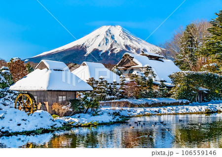 雪化粧の忍野八海と富士山 106559146