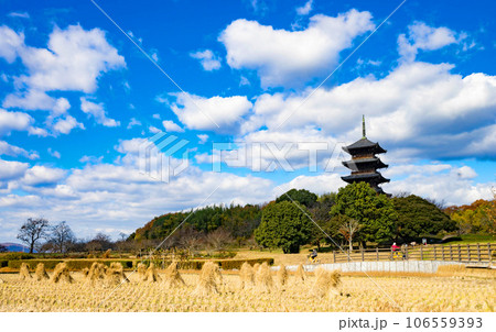 岡山県 秋の備中国分寺の五重塔 岡山県 秋の備中国分寺の五重塔 106559393