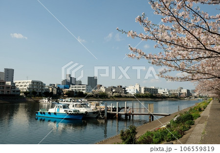 花いっぱいの勝島運河 106559819
