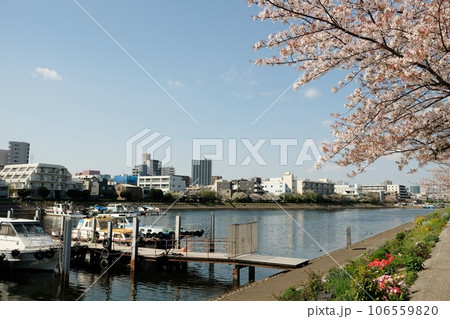花いっぱいの勝島運河 106559820