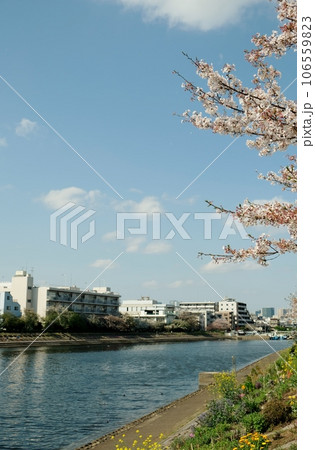 花いっぱいの勝島運河 花いっぱいの勝島運河 106559823