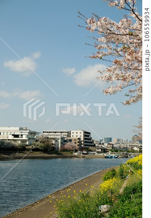 花いっぱいの勝島運河 106559934