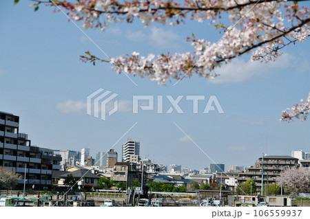 花いっぱいの勝島運河 106559937