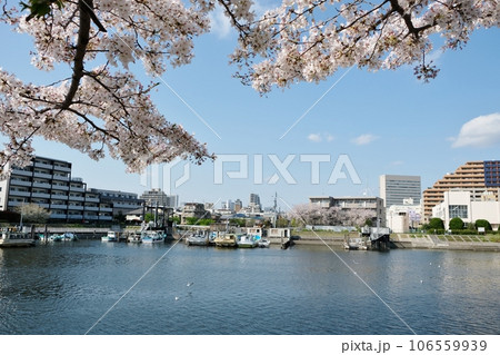 花いっぱいの勝島運河 106559939