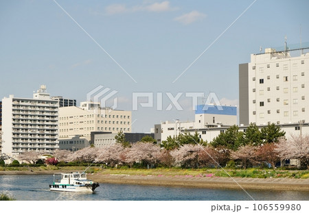 花いっぱいの勝島運河 106559980