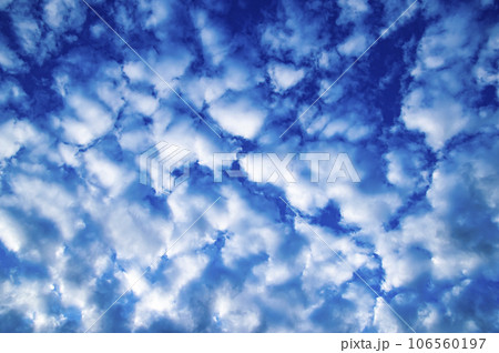 White cumulus clouds against the blue sky. 106560197