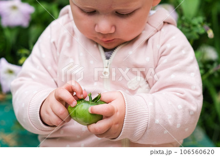 happy child girl holding tomatoes on background of green plants happy child girl holding tomatoes on background of green plants 106560620