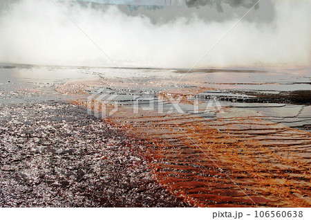 アメリカ合衆国　イエローストーン国立公園　熱水泉の周縁に生育する超好熱菌のフローラ 106560638