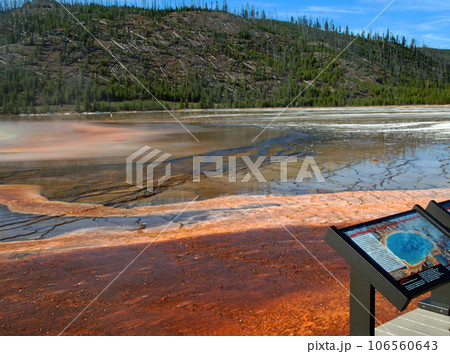 アメリカ合衆国　イエローストーン国立公園　熱水泉の周縁に生育する超好熱菌のフローラ 106560643