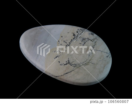 デンドリティック・ジャスパー 風景を宿す石 106560807