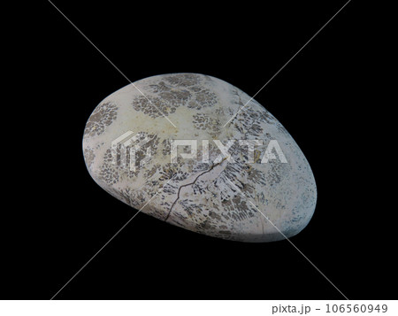 デンドリティック・ジャスパー 風景を宿す石 106560949