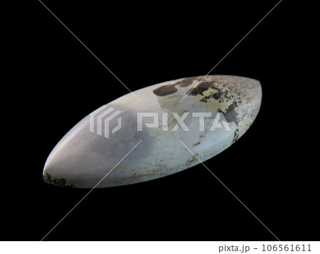 デンドリティック・ジャスパー 自然が描く絵 デンドリティック・ジャスパー 自然が描く絵 106561611