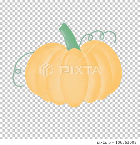 pumpkins  106562608
