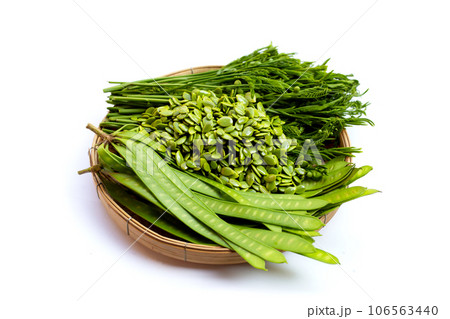 Leucaena leucocephala isolated on white background 106563440