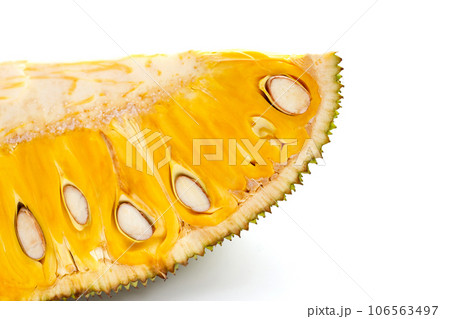 Ripe Jackfruit isolated on white background. Ripe Jackfruit isolated on white background. 106563497